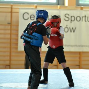DSC 80311 300x300 - SANDA MMA