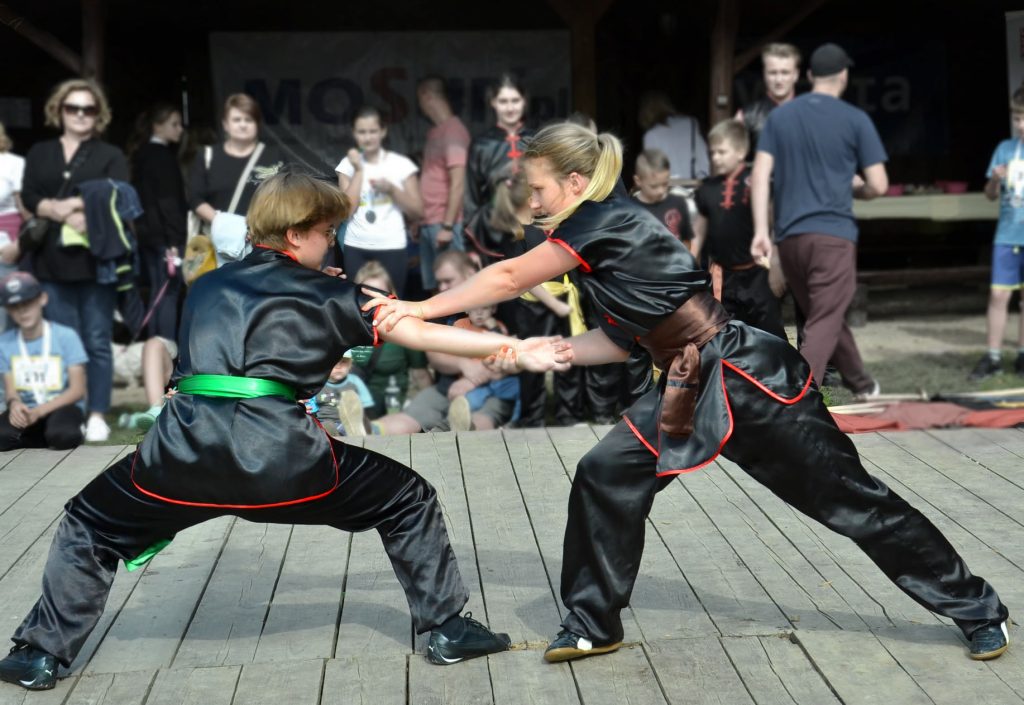 120065043 1577420115764214 7287132007449401035 n 1 1024x705 - Pokazy